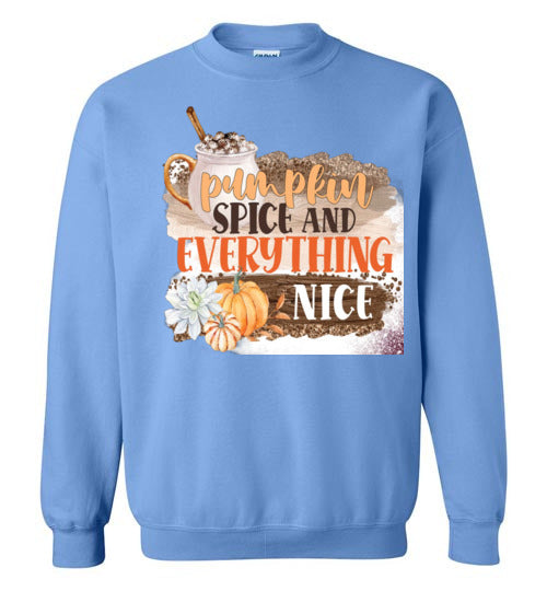 Pumpkin Spice and Everything Nice Graphic Sweatshirt Top